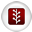 NewsVine